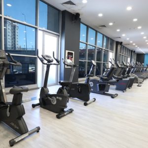 SVD_0767